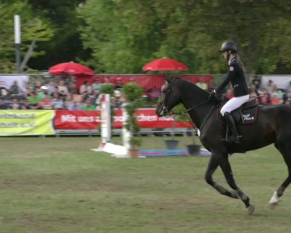 Reitturnier Aschersleben 2024