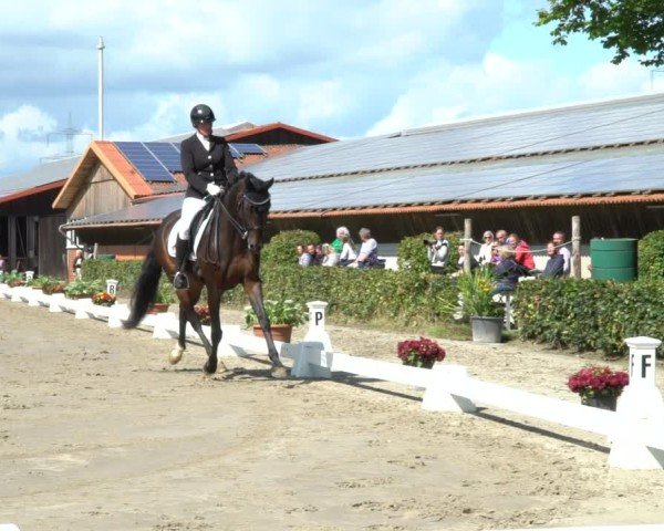Reitturnier Werne 2024