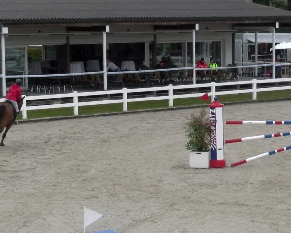 Reitturnier Hüntwangen 2024