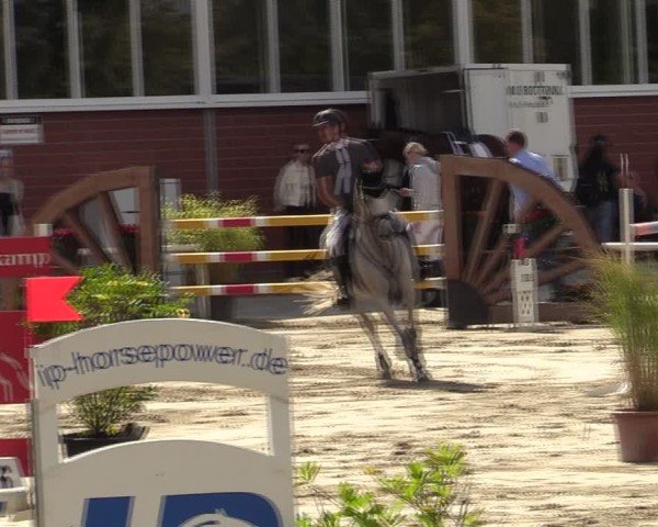 Reitturnier Werne 2024
