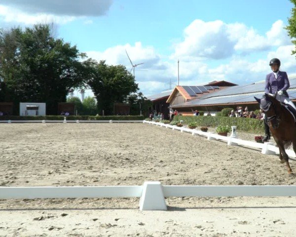 Reitturnier Werne 2024