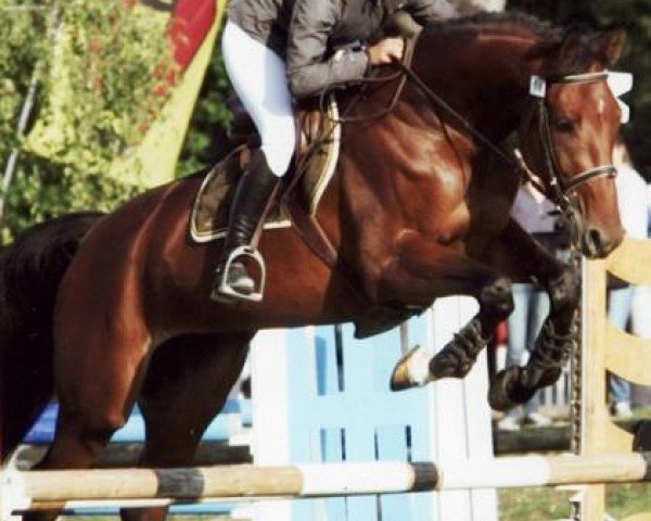 Cavallo Soraya D'Argent (Selle Français, 2006, di Lux Z)