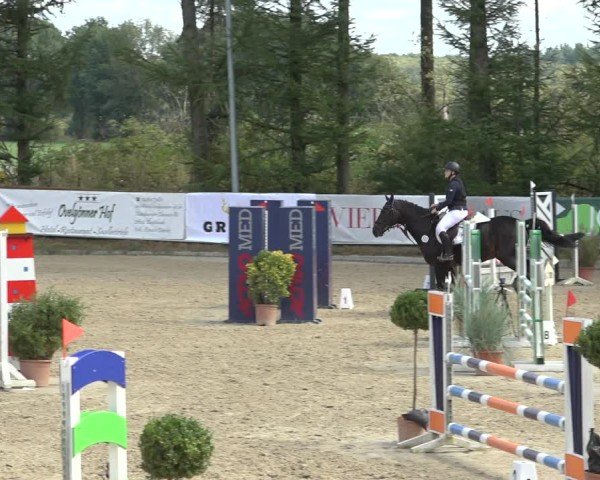 Reitturnier Sieversen - Rosengarten 2024