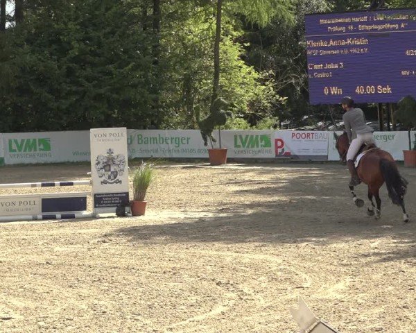 Reitturnier Sieversen - Rosengarten 2024