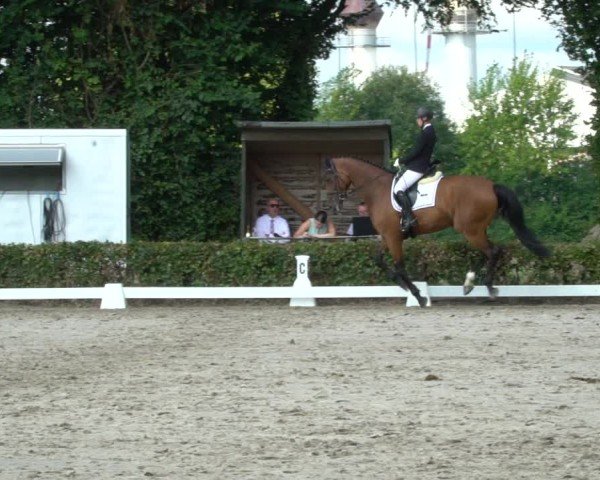 Reitturnier Werne 2024