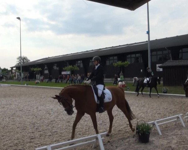 Fröndenberg 2013