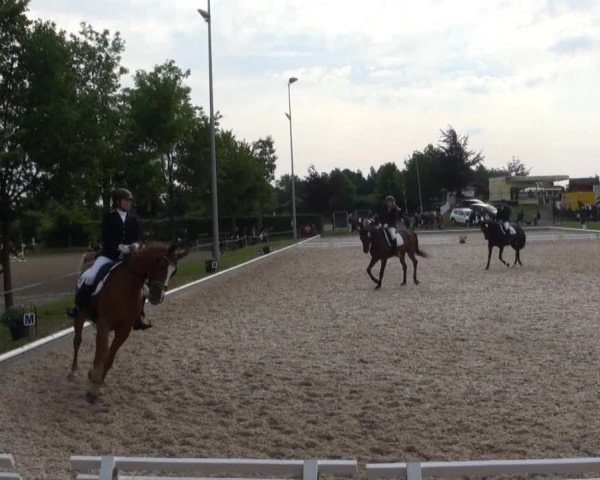 Fröndenberg 2013
