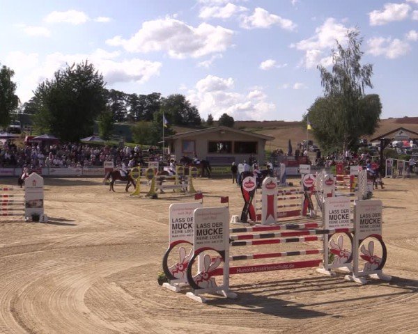 Reitturnier Duderstadt 2024