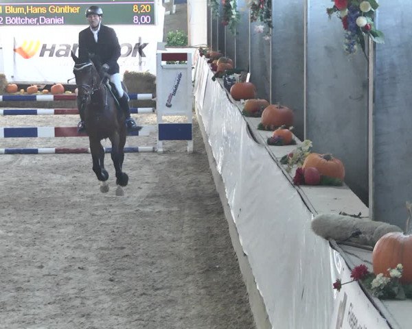 Reitturnier Karlsfeld/Obb. 2021