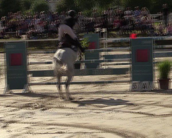 Reitturnier Werne 2024