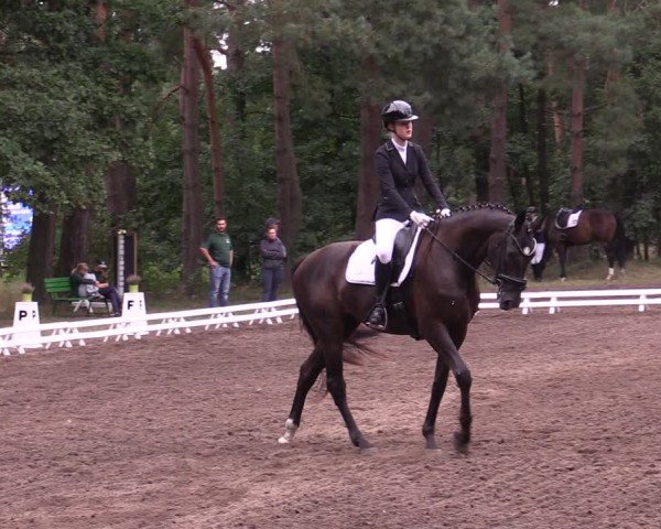 Reitturnier Plöwen 2024