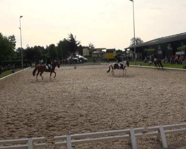 Fröndenberg 2013