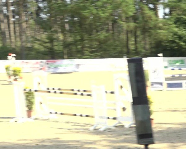 Reitturnier Sieversen - Rosengarten 2024