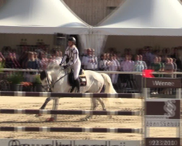 Reitturnier Werne 2024
