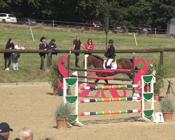 Reitturnier Sieversen - Rosengarten 2024