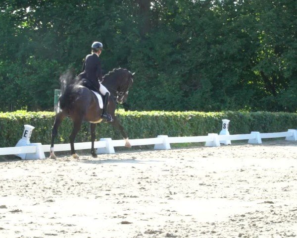 Reitturnier Werne 2024