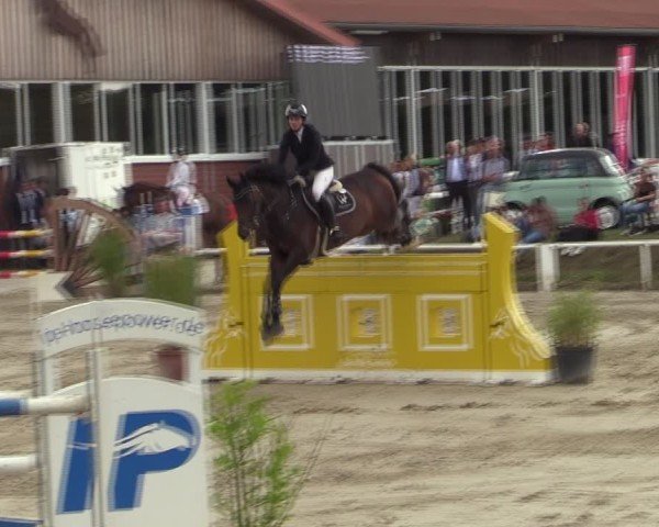 Reitturnier Werne 2024