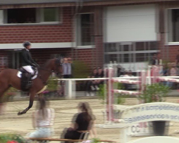 Reitturnier Werne 2024