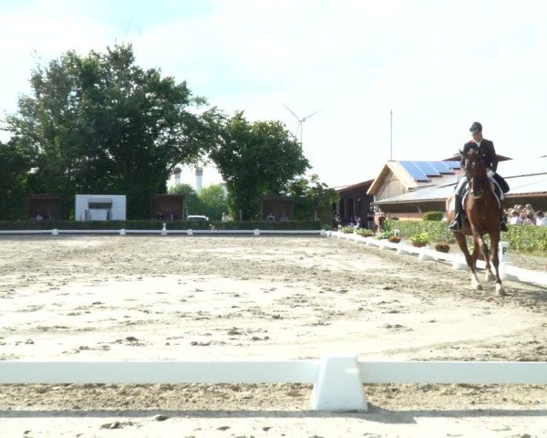 Reitturnier Werne 2024