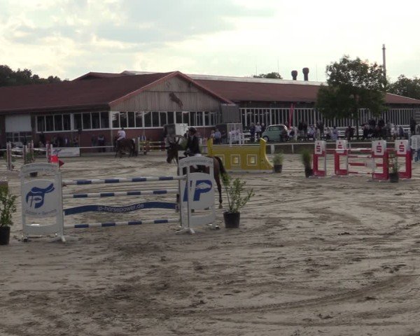 Reitturnier Werne 2024