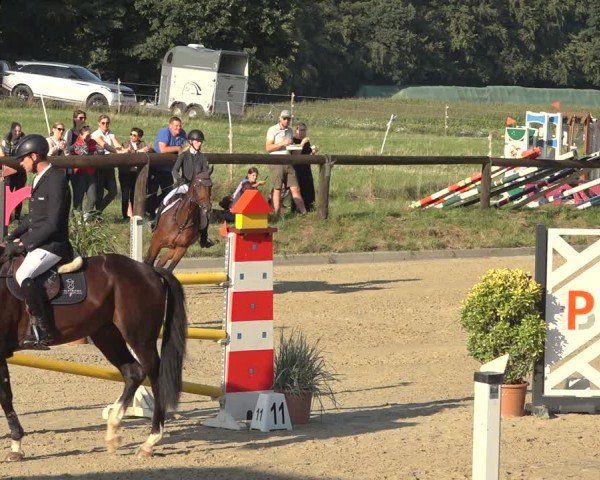 Reitturnier Sieversen - Rosengarten 2024