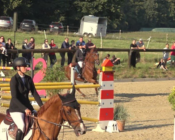 Reitturnier Sieversen - Rosengarten 2024