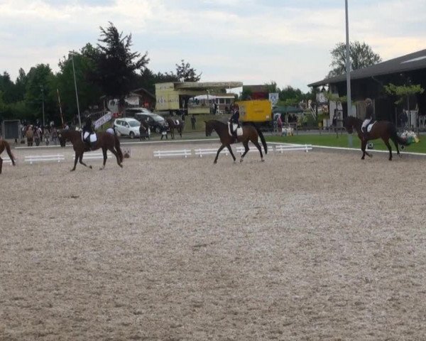 Fröndenberg 2013
