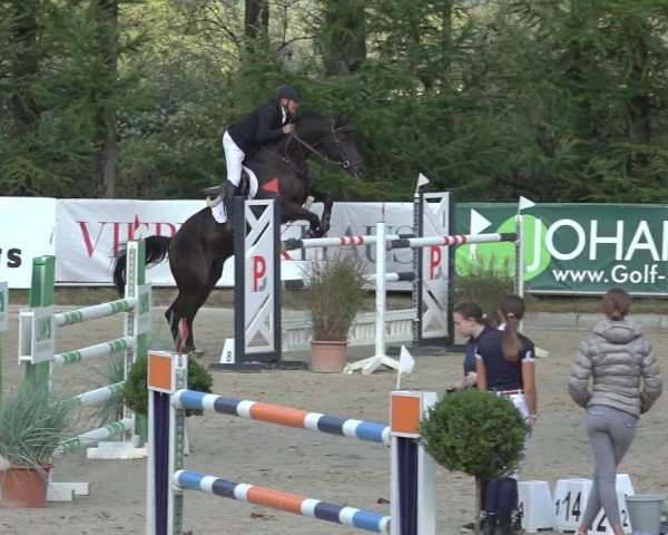 Reitturnier Sieversen - Rosengarten 2024