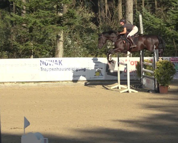 Reitturnier Sieversen - Rosengarten 2024