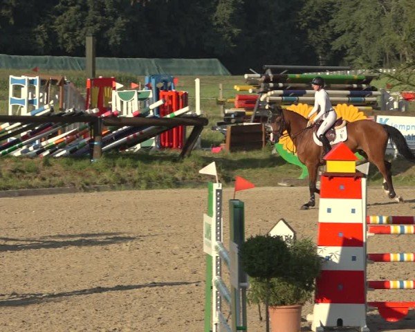 Reitturnier Sieversen - Rosengarten 2024