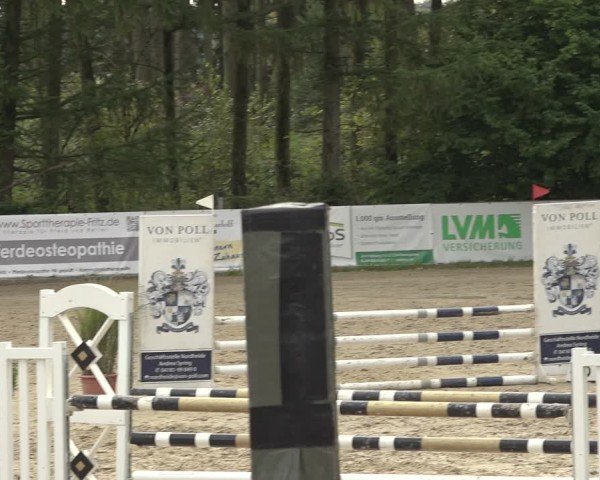 Reitturnier Sieversen - Rosengarten 2024