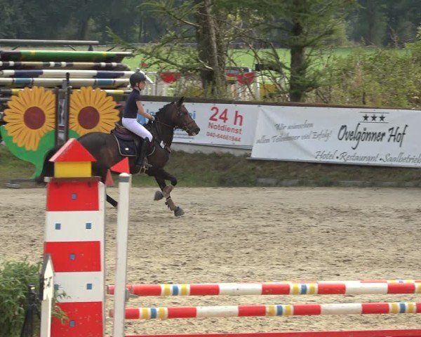 Reitturnier Sieversen - Rosengarten 2024