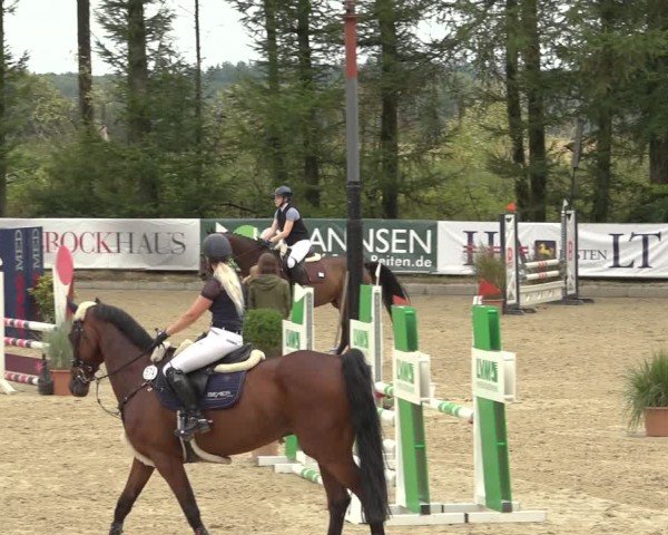 Reitturnier Sieversen - Rosengarten 2024