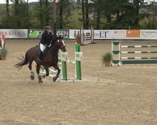 Reitturnier Sieversen - Rosengarten 2024