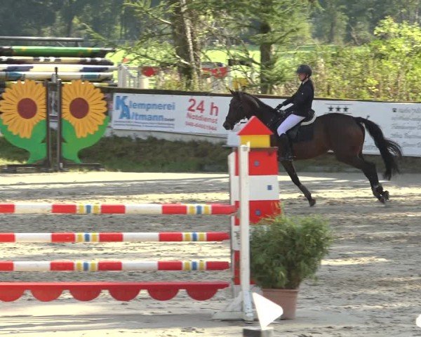 Reitturnier Sieversen - Rosengarten 2024