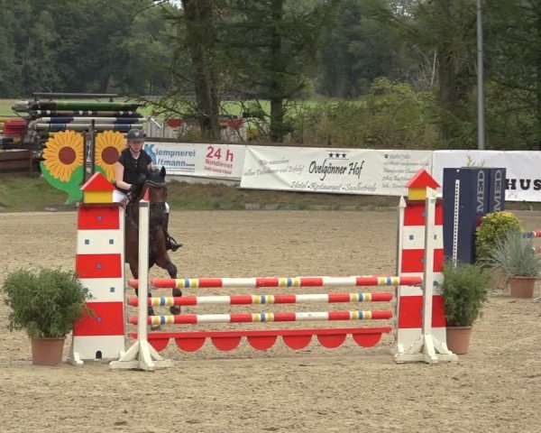 Reitturnier Sieversen - Rosengarten 2024