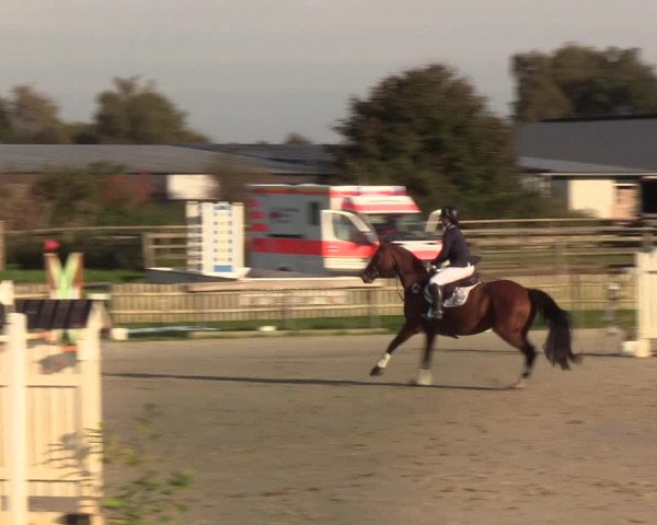 Reitturnier Schülp / Rendsburg 2021