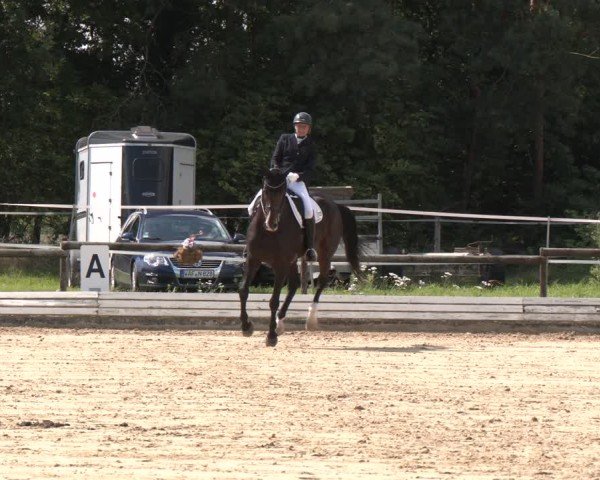 Reitturnier Ostbevern 2024