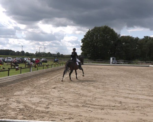 Reitturnier Ostbevern 2024