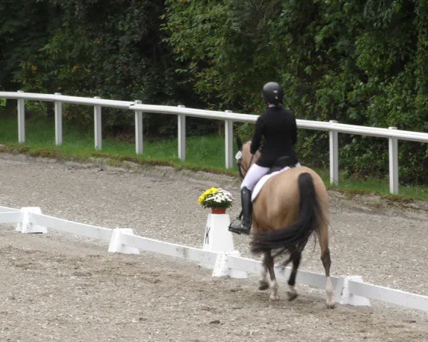 Reitturnier Zillhofen/Obb. 2024