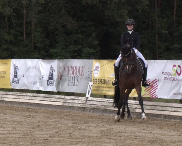 Reitturnier Ostbevern 2024