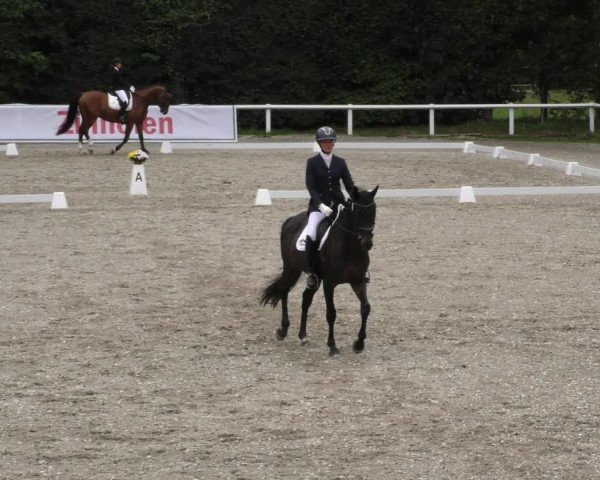 Reitturnier Zillhofen/Obb. 2024