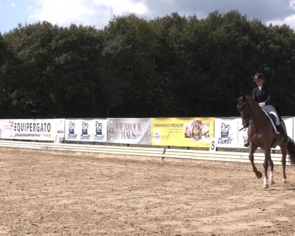 Reitturnier Ostbevern 2024