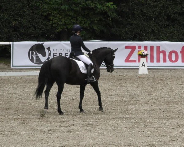 Reitturnier Zillhofen/Obb. 2024