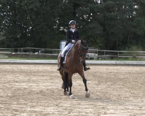 Reitturnier Ostbevern 2024