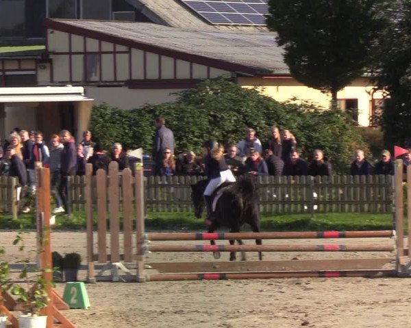 Reitturnier Schülp / Rendsburg 2021