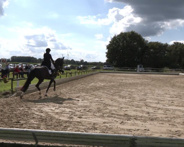 Reitturnier Ostbevern 2024