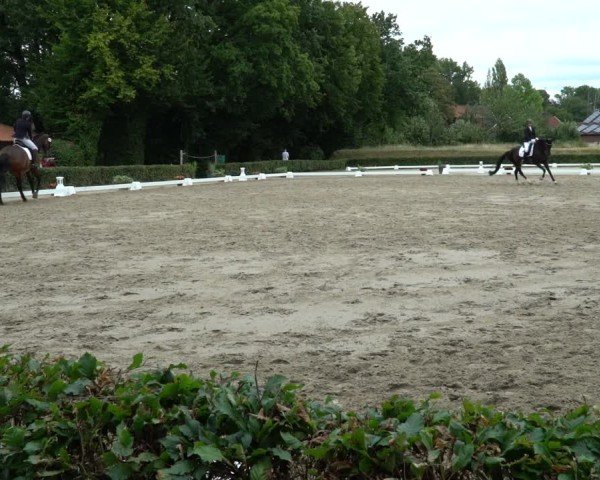Reitturnier Werne 2024