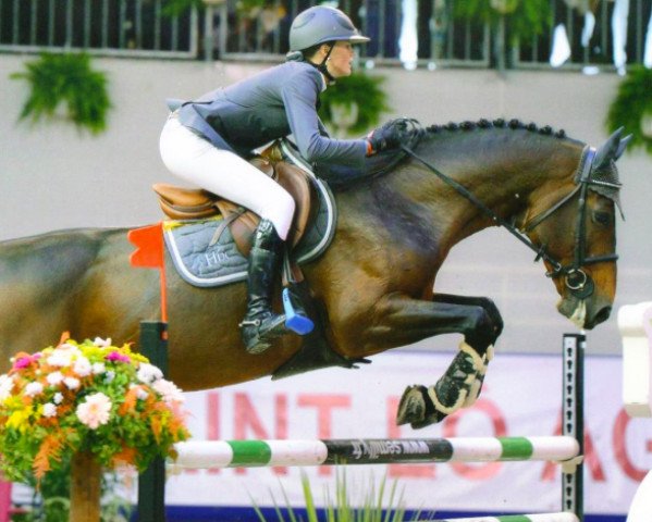 jumper Millesime du Mesnil (Selle Français, 2000, from Galoubet A)