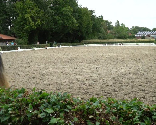 Reitturnier Werne 2024